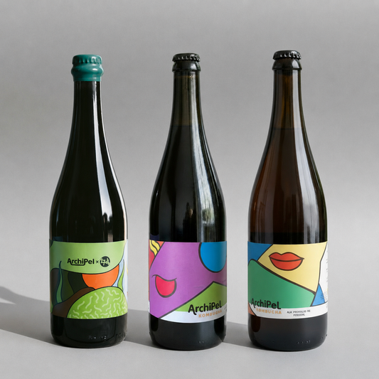 Gurmaniškos EKO kombučios degustacinis rinkinys, Archipel, 3x750ml 🇫🇷