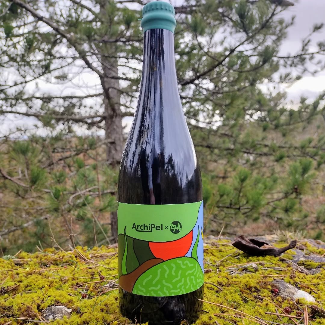 Gurmaniška EKO kombučia su aviečių lapais ir pušų pumpurais Archipel, 750ml 🇫🇷