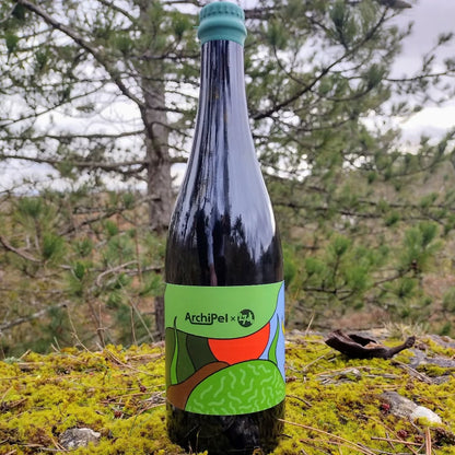 Gurmaniška EKO kombučia su aviečių lapais ir pušų pumpurais Archipel, 750ml 🇫🇷