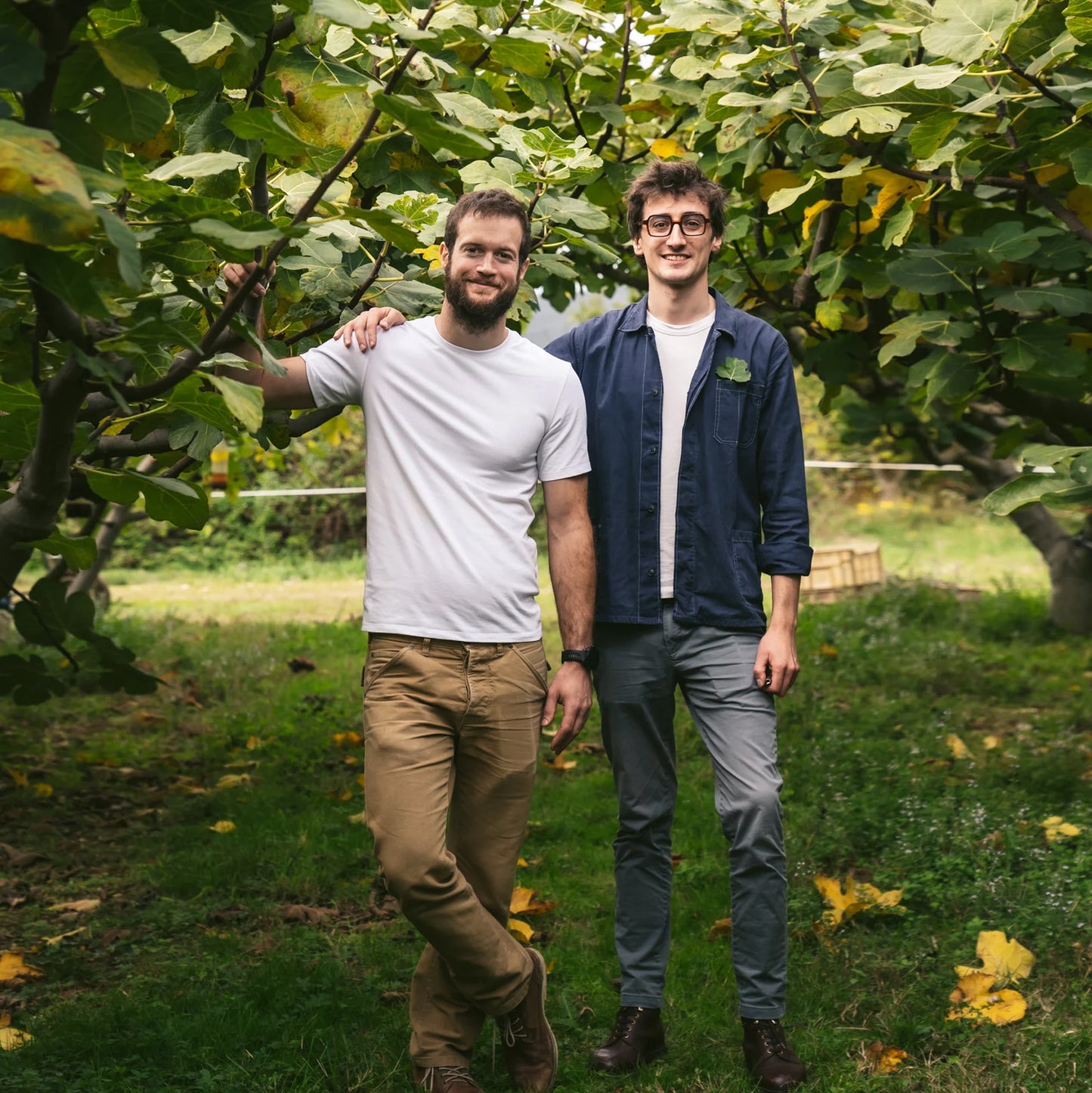 Gurmaniška EKO kombučia su aviečių ir pelargonijų lapais, Archipel, 750ml 🇫🇷