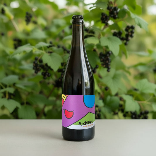 Gurmaniška EKO kombučia su juodųjų serbentų lapais, Archipel, 750ml 🇫🇷