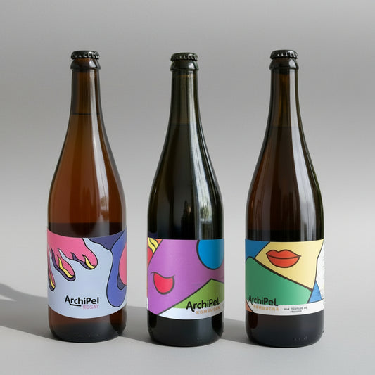 Gurmaniškos EKO kombučios degustacinis rinkinys, Archipel, 3x750ml 🇫🇷